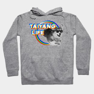 Taiyang Life (Veilside) Hoodie